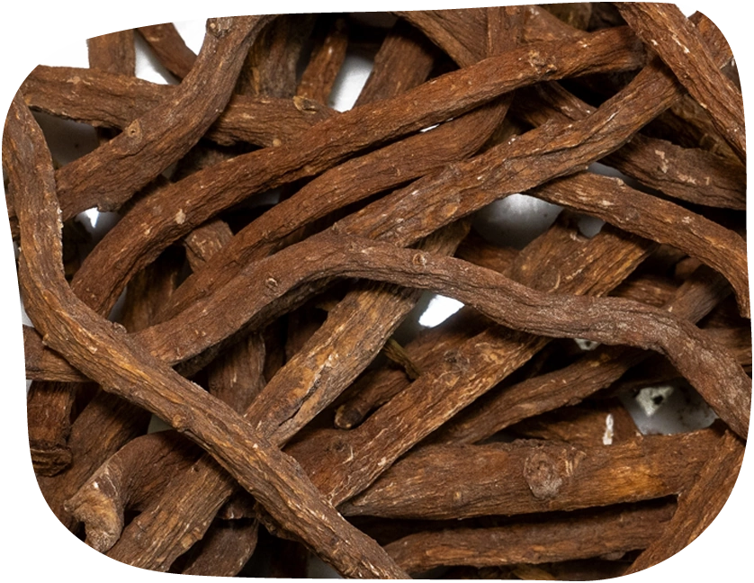 These dandelion roots from The Hay Shed offer nutritious nibbling fun for small animals such as rabbits.