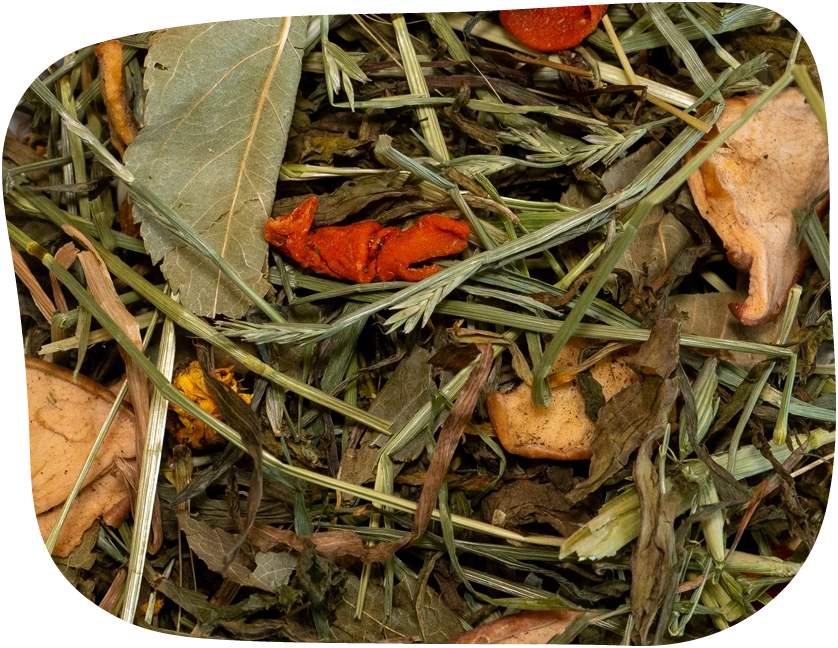 The Hay Shed's Meadow Forage Box offers a mixture of tasty green meadow hay and delicious natural and nutritious forage