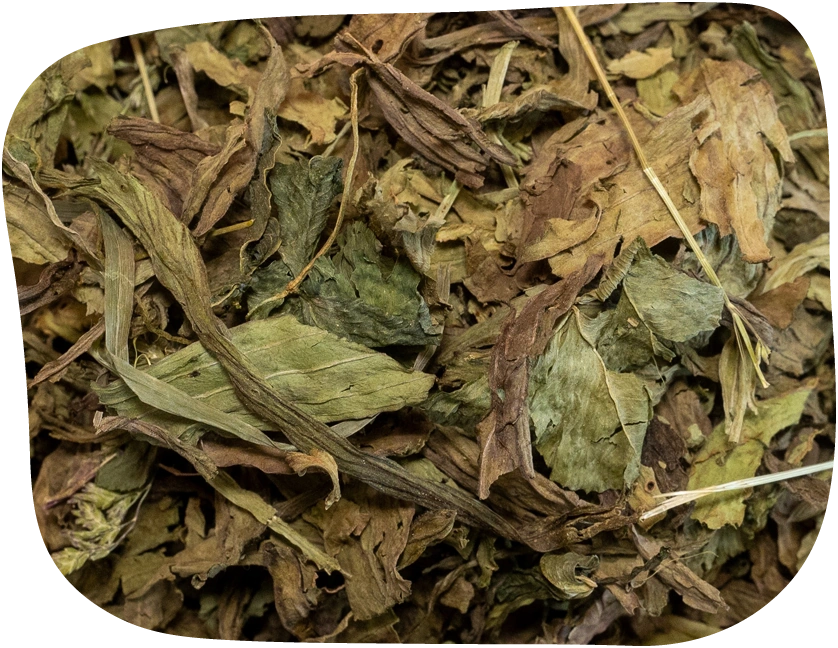 Dried plantain leaves are rich in vitamin C and fibre. Great for your rabbit or small pet's gut function.