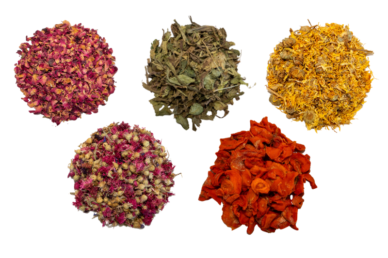 Rabbit treats such as red cornflowers, carrots and more