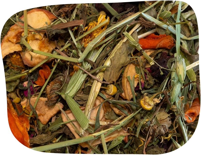 The Hay Shed's superfood forage box is packed with goodness for your pet