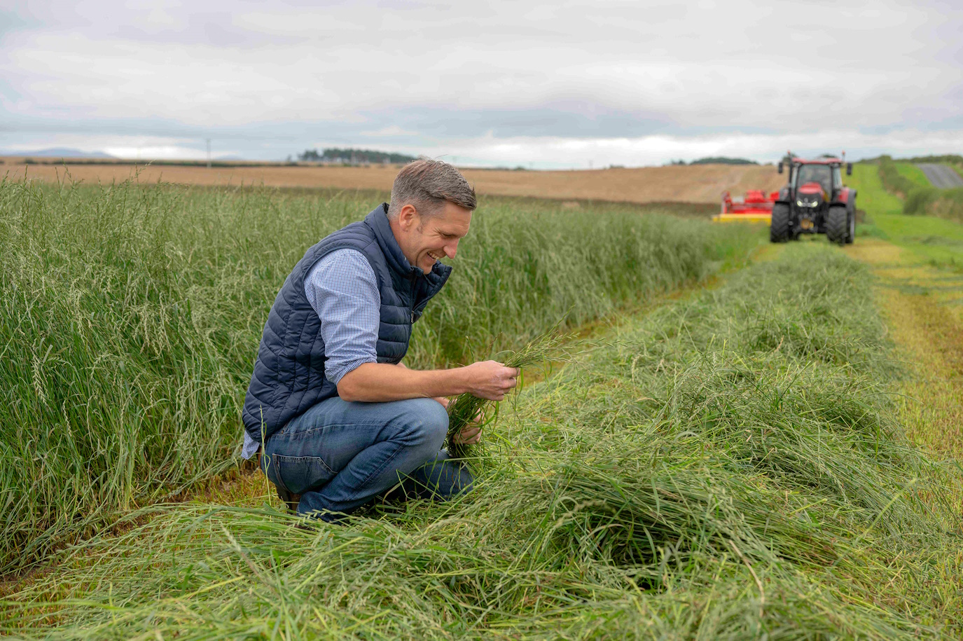 The Hay Shed team testing the grass to check it is perfect for your pet's hay