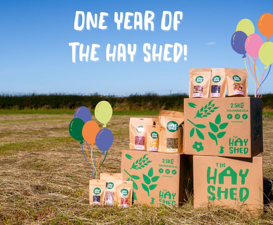 Celebrating 1st birthday of The Hay Shed