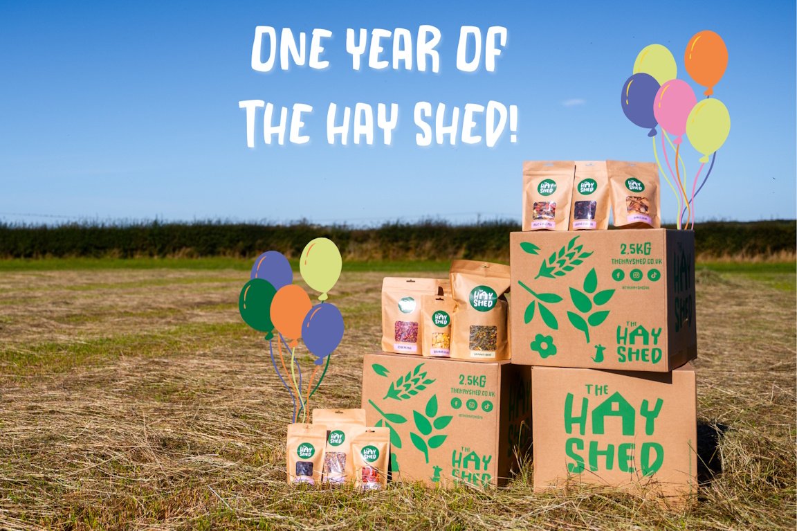 Celebrating 1st birthday of The Hay Shed