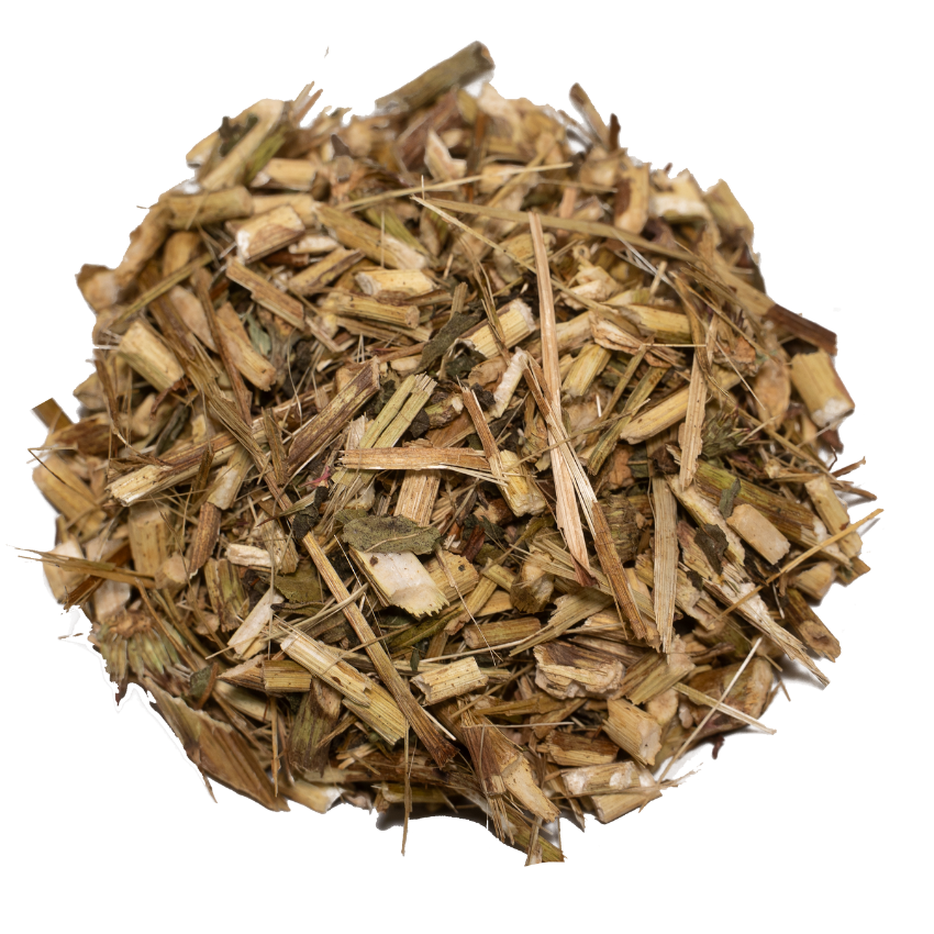 Echinacea flowers and stems treat for small pets like rabbits and hamsters