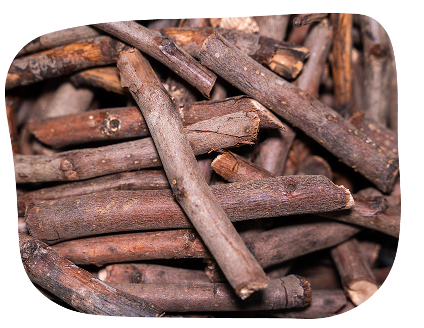 pear stick treat for small pets from The Hay Shed