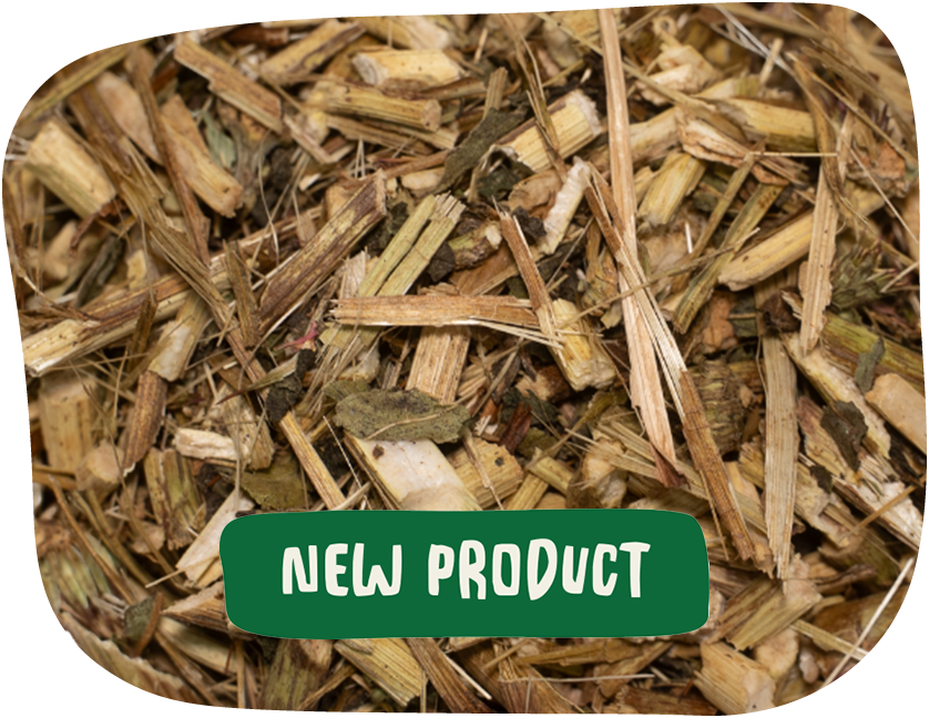 echinacea stems and flowers mix from The Hay Shed with New Product banner