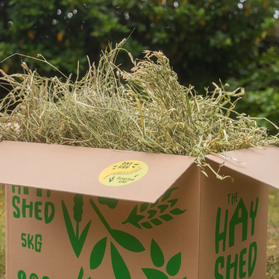 The Hay Shed 5kg box full of hay for small pets with Oat hay and Timothy hay