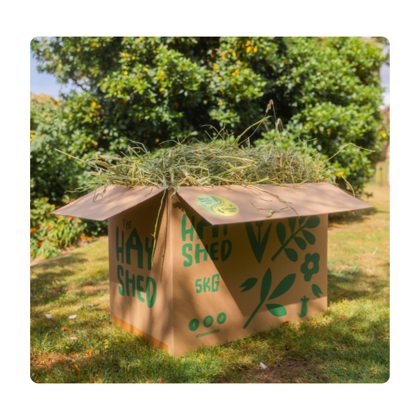 The Hay Shed 5kg box full of hay for small pets